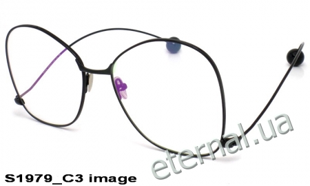 KAIZI exclusive очки S1979 C3 image