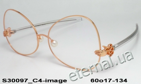KAIZI exclusive очки S30097 C4 image