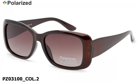 No Name PZ03100 COL.2 polarized