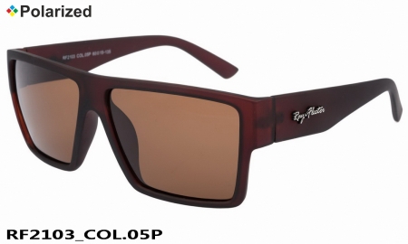 Ray-Flector polarized очки RF2103 COL.05P