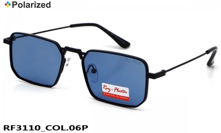 Ray-Flector polarized очки RF3110 COL.06P