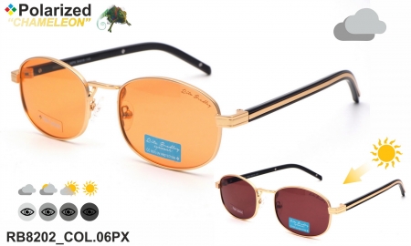 Rita Bradley очки RB8202 COL.06PX chameleon