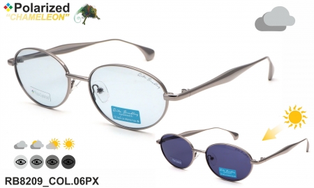 Rita Bradley очки RB8209 COL.06PX chameleon