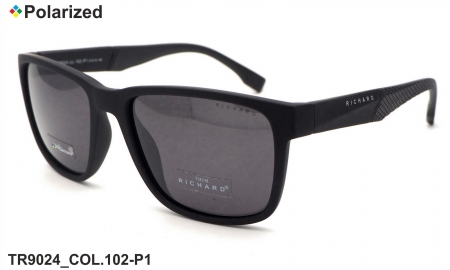 Thom RICHARD очки TR9024 COL.102-P1