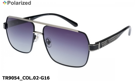 Thom RICHARD очки TR9054 COL.02-G16 polarized