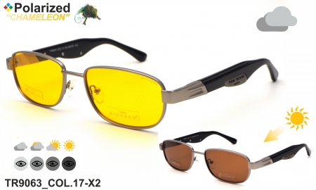 Thom RICHARD очки TR9063 COL.17-X2 polarized