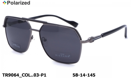 Thom RICHARD очки TR9064 COL.03-P1 polarized