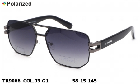 Thom RICHARD очки TR9066 COL.03-G1 polarized