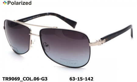 Thom RICHARD очки TR9069 COL.06-G3 polarized