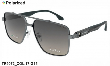 Thom RICHARD очки TR9072 COL.17-G15 polarized