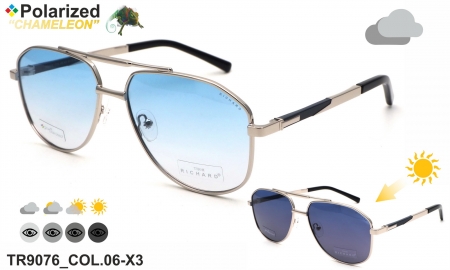 Thom RICHARD очки TR9076 COL.06-X3 polarized