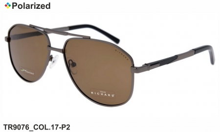 Thom RICHARD очки TR9076 COL.17-P2 polarized