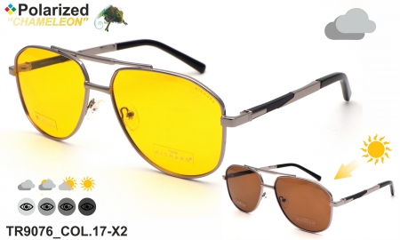 Thom RICHARD очки TR9076 COL.17-X2 polarized