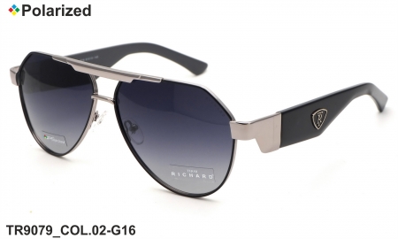 Thom RICHARD очки TR9079 COL.02-G16 polarized