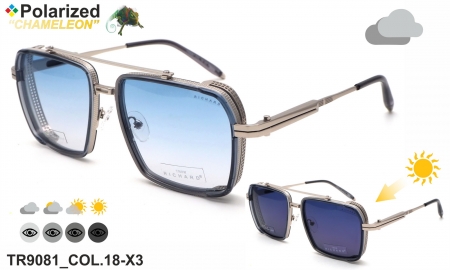 Thom RICHARD очки TR9081 COL.18-X3 polarized