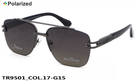 Thom RICHARD очки TR9501 COL.17-G15