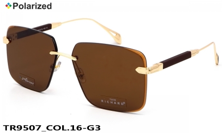 Thom RICHARD очки TR9507 COL.16-G3