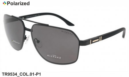 Thom RICHARD очки TR9534 COL.01-P1 polarized