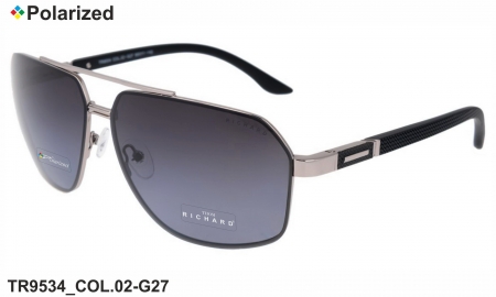 Thom RICHARD очки TR9534 COL.02-G27 polarized