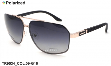 Thom RICHARD очки TR9534 COL.09-G16 polarized