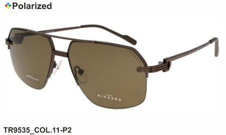 Thom RICHARD очки TR9535 COL.11-P2 polarized