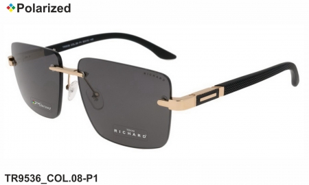 Thom RICHARD очки TR9536 COL.08-P1 polarized