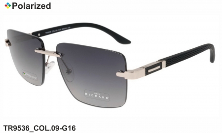 Thom RICHARD очки TR9536 COL.09-G16 polarized