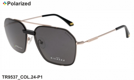 Thom RICHARD очки TR9537 COL.24-P1 polarized