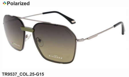 Thom RICHARD очки TR9537 COL.25-G15 polarized